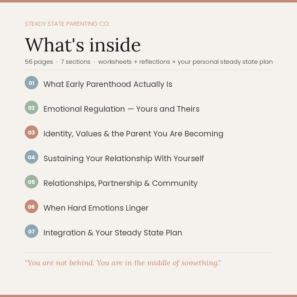 The Steady State Early Parenthood Workbook - Grounded emotional support for the first years of parenthood