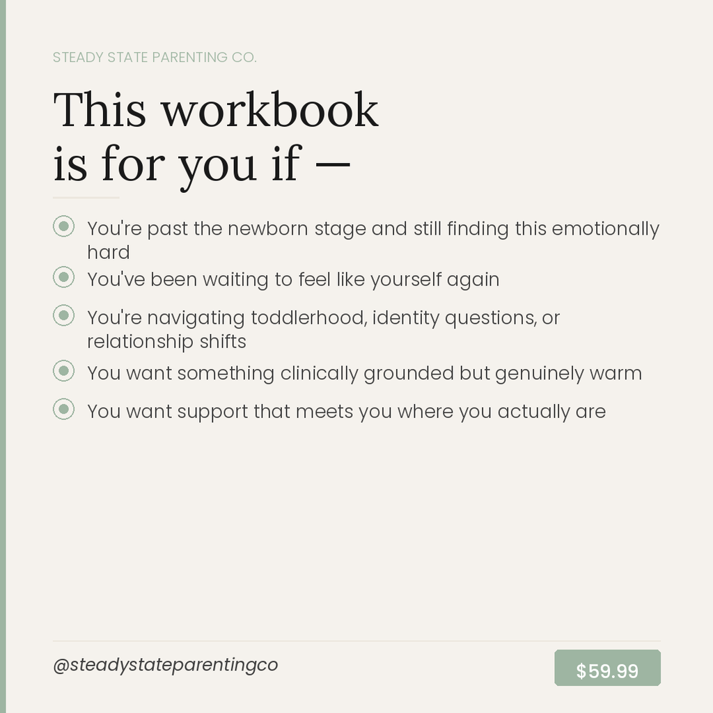 The Steady State Early Parenthood Workbook - Grounded emotional support for the first years of parenthood