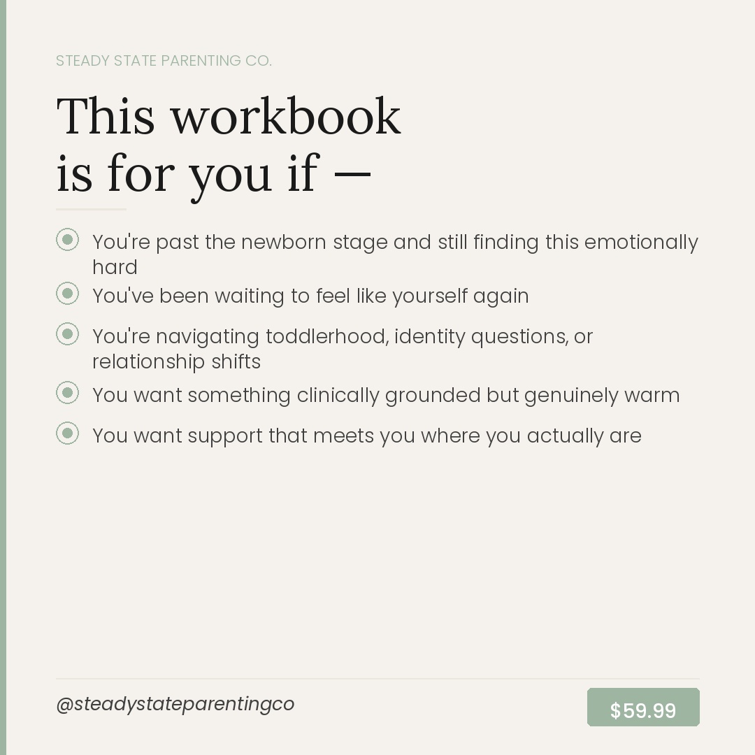 The Steady State Early Parenthood Workbook - Grounded emotional support for the first years of parenthood