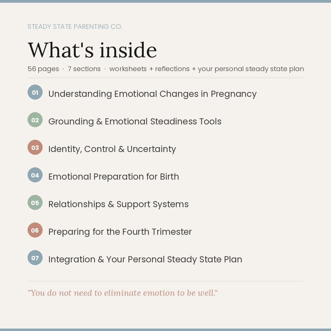 The Steady State Pregnancy Workbook - Grounding emotional support for birthing parents and families