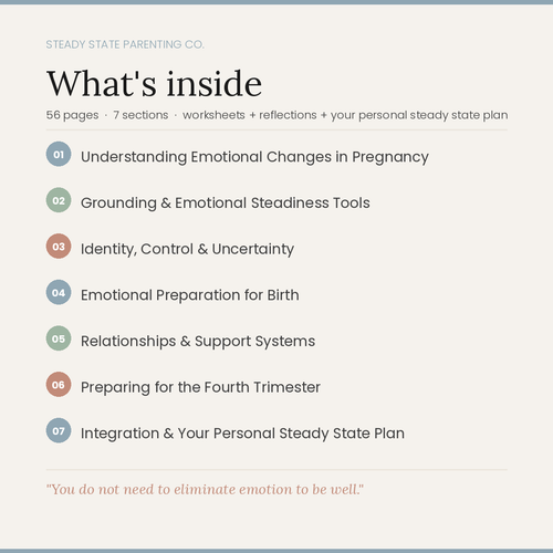 The Steady State Pregnancy Workbook - Grounding emotional support for birthing parents and families