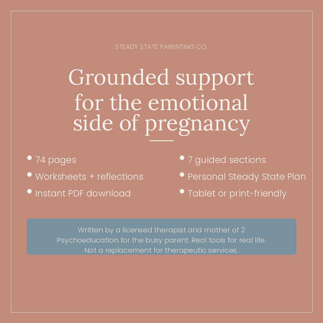 The Steady State Pregnancy Workbook - Grounding emotional support for birthing parents and families