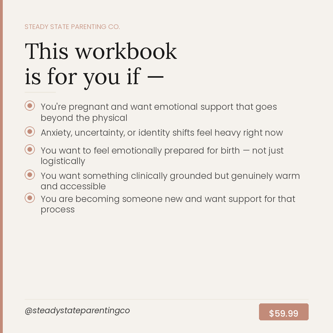The Steady State Pregnancy Workbook - Grounding emotional support for birthing parents and families