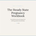 The Steady State Pregnancy Workbook - Grounding emotional support for birthing parents and families