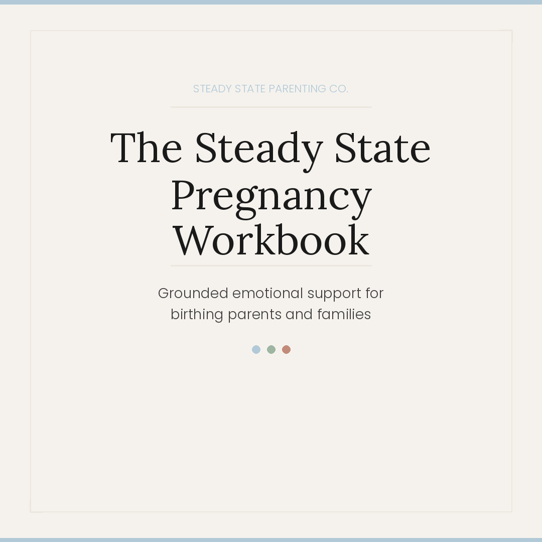 The Steady State Pregnancy Workbook - Grounding emotional support for birthing parents and families
