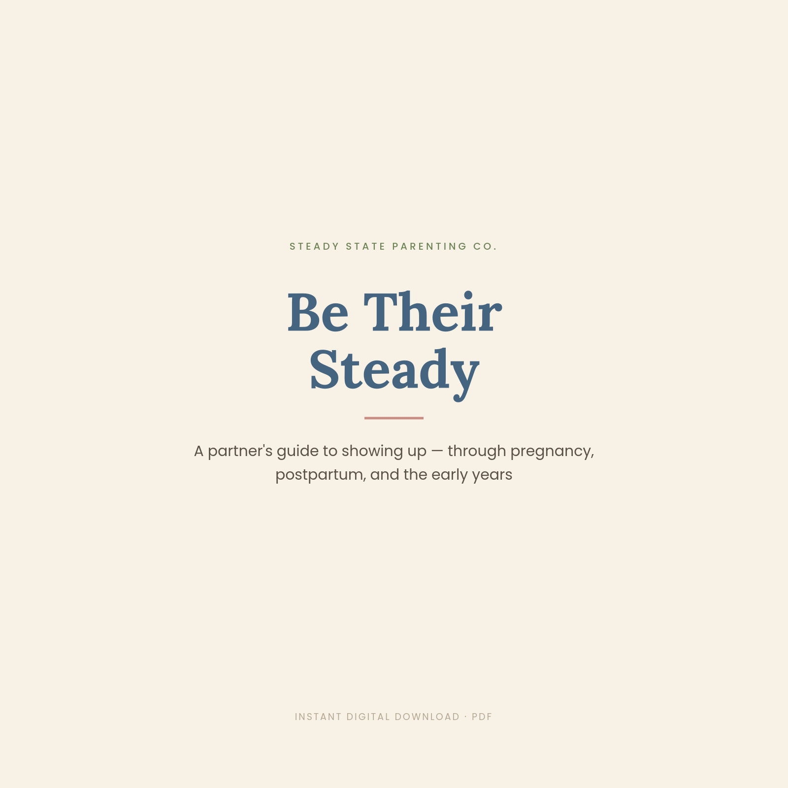 Partner Guide: Be Their Steady (A partner's guide to supporting pregnancy & postpartum)
