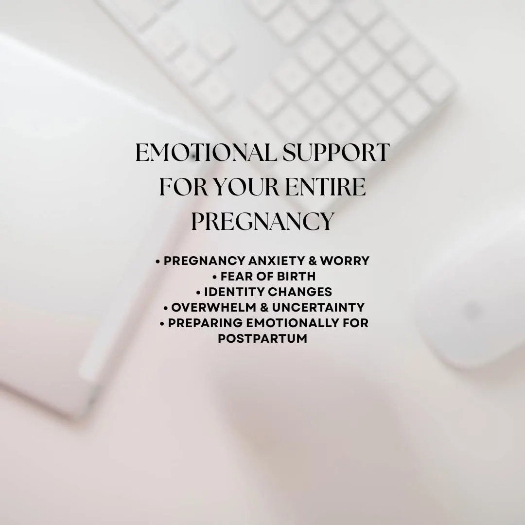 The Steady State Pregnancy Workbook - A guide for mental wellness in pregnancy