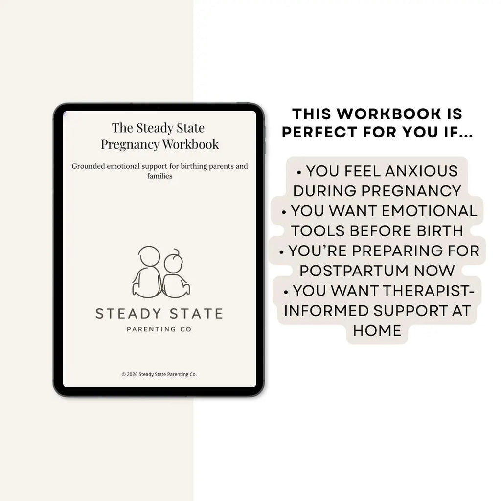 The Steady State Pregnancy Workbook - A guide for mental wellness in pregnancy