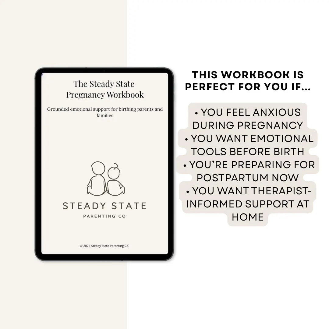 The Steady State Pregnancy Workbook - A guide for mental wellness in pregnancy