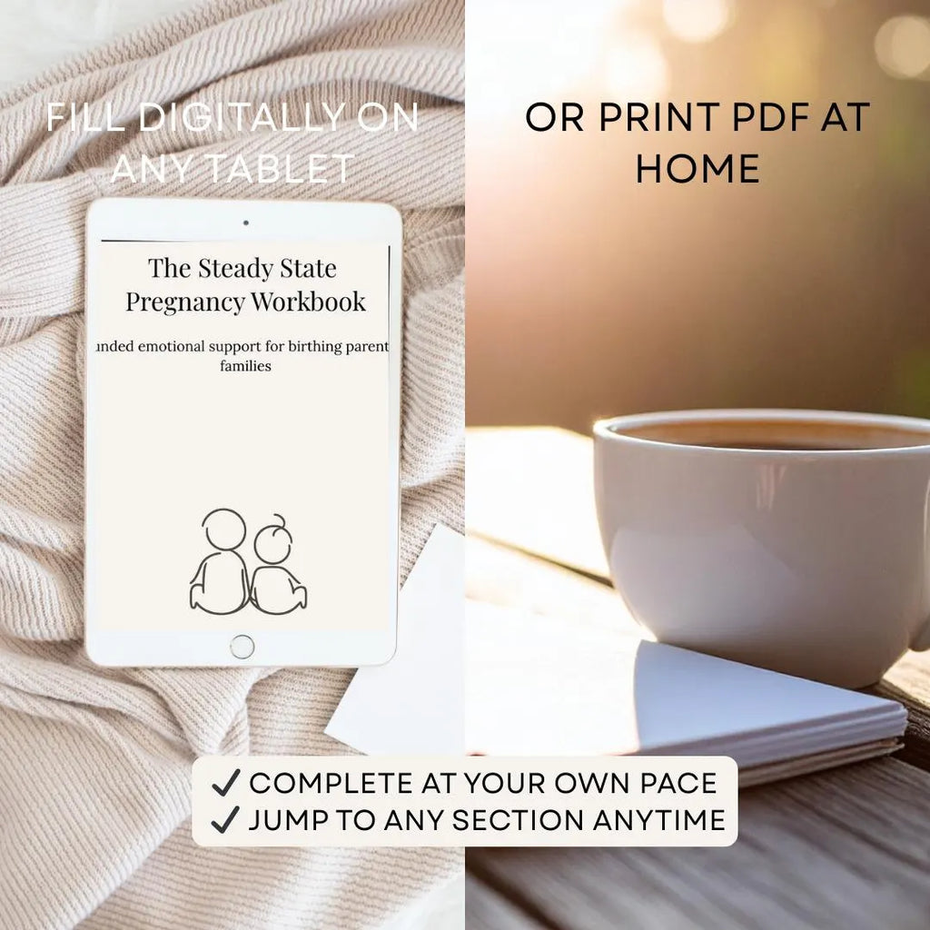 The Steady State Pregnancy Workbook - A guide for mental wellness in pregnancy