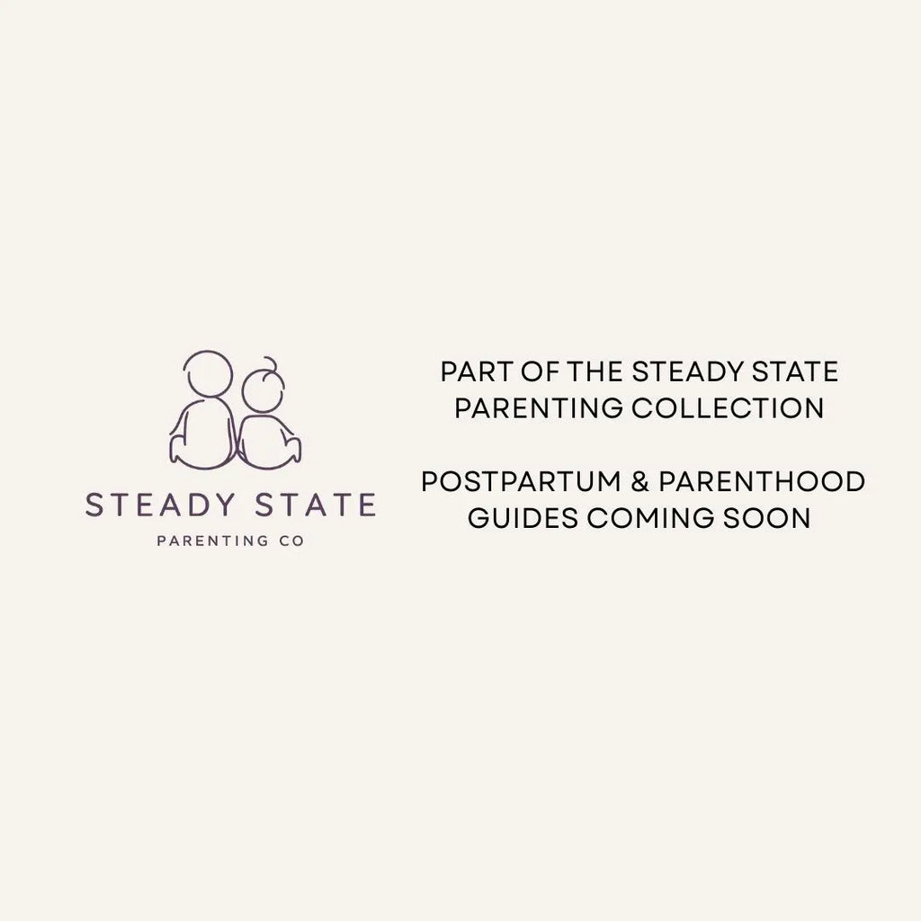 The Steady State Pregnancy Workbook - A guide for mental wellness in pregnancy
