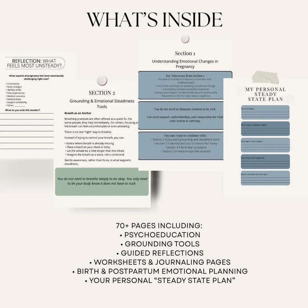 The Steady State Pregnancy Workbook - A guide for mental wellness in pregnancy